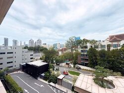 Peak Residence (D11), Condominium #482284631